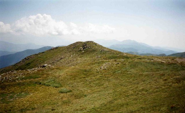 Monte Cella